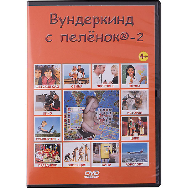  DVD-    